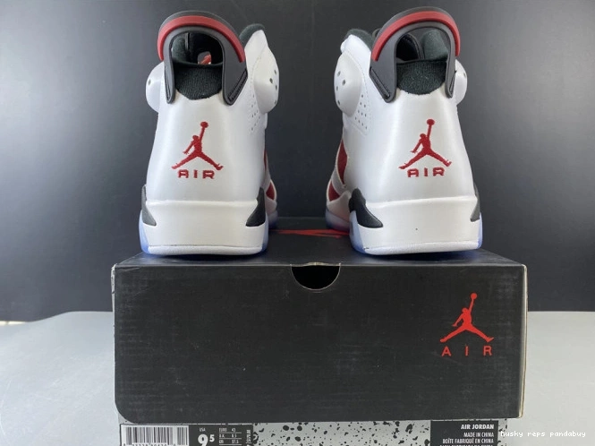 Cheap Husky JORDAN 384664-160 RETRO 2014 6 'CARMINE' AIR 0823